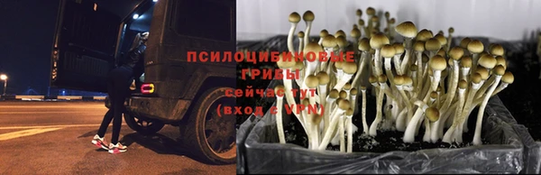 герыч Алексин