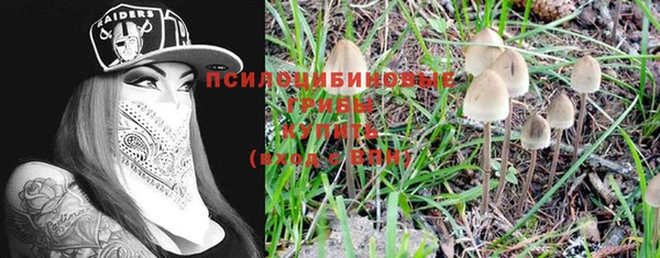 не бодяженный Армянск