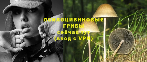 герыч Алексин