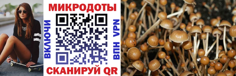 сколько стоит MEGA зеркало Галлюциногенные грибы Magic Shrooms Тверь