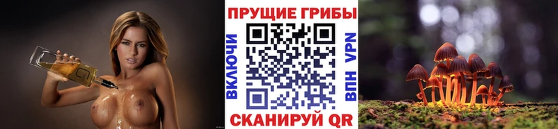 Галлюциногенные грибы Psilocybe Тверь