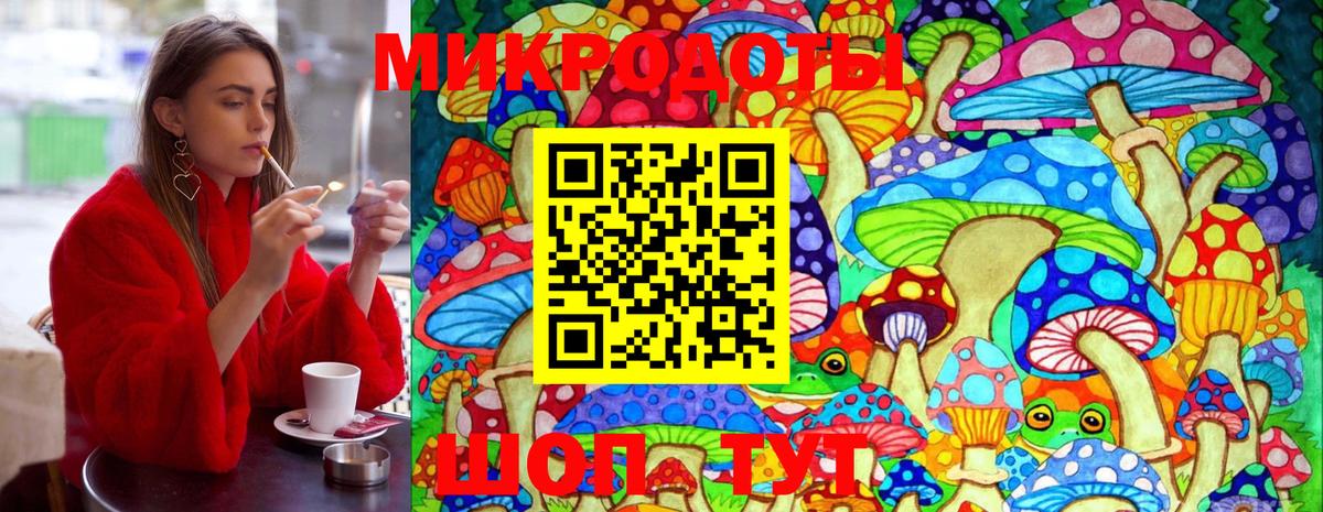 Галлюциногенные грибы Cubensis Тверь