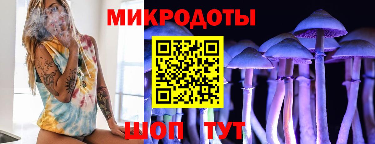 Галлюциногенные грибы прущие грибы  Вход с VPN  Тверь  Галлюциногенные грибы мицелий 