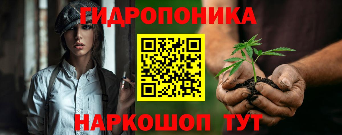 Марихуана OG Kush  Каннабис индика  Канабис ГИДРОПОН  Тверь  Вход с VPN 